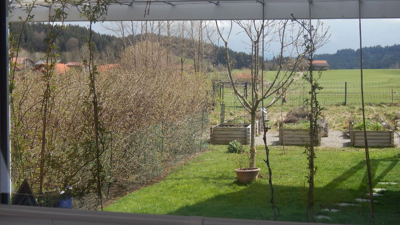 Ausblick aus dem Fenster Ausblick aus dem Fenster